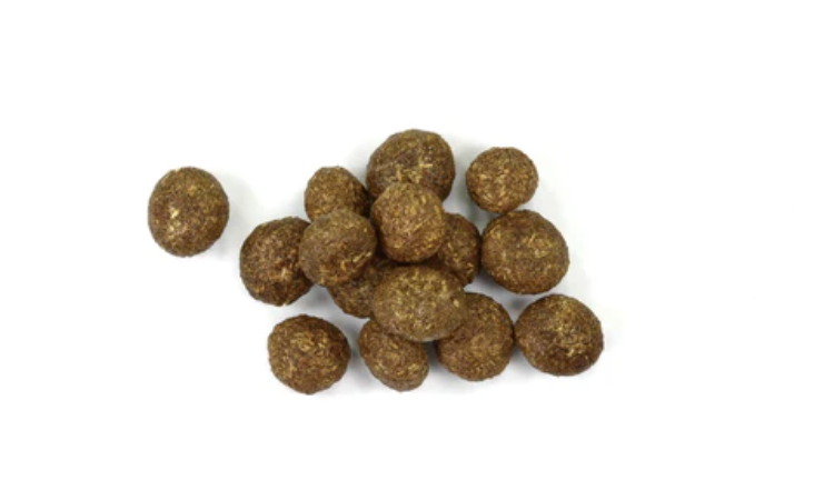 What Rabbit Poops Can Tell You?